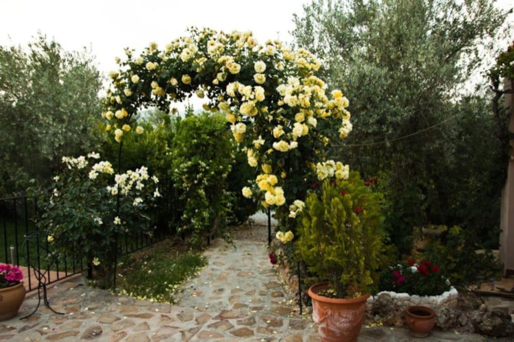 Cazorla-Alcon, Casa Hoya Don Gaspar Pozo Alcón Екстериор снимка