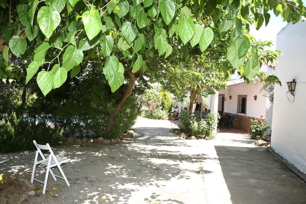 Cazorla-Alcon, Casa Hoya Don Gaspar Pozo Alcón Екстериор снимка